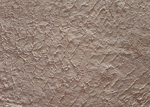 slap-brush-texture-walls