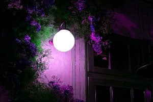 different-color-porch-light-meanings