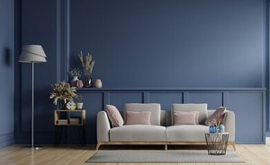navy-blue-color-with-a-gray-couch
