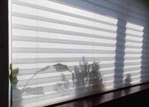 blinds-vs-shades
