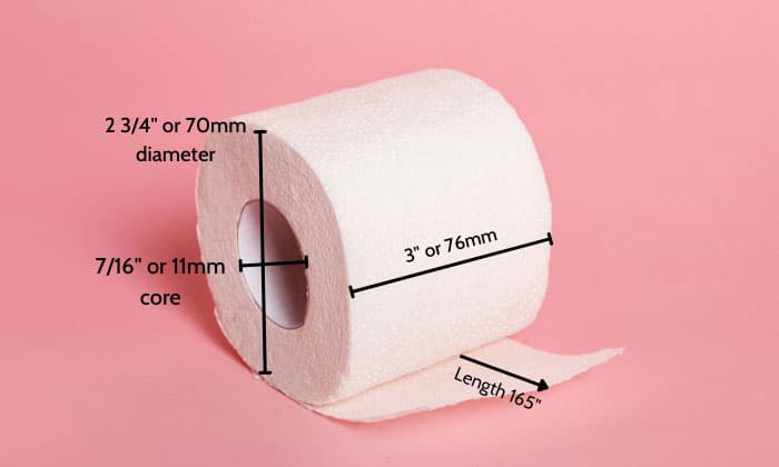 Dimensions of a Roll of Toilet Paper