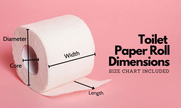 Dimensions of a Roll of Toilet Paper