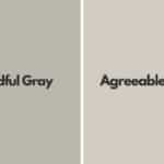 mindful gray vs agreeable gray