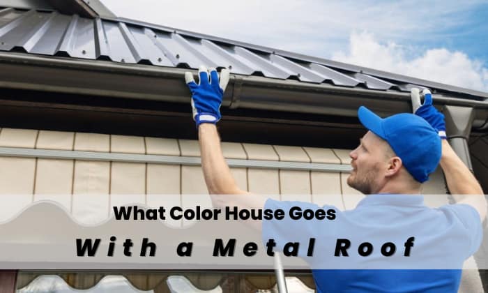 what color house goes with a metal roof