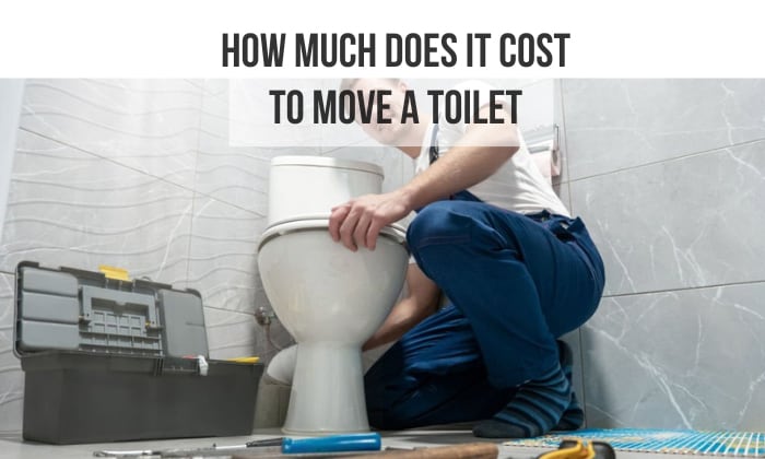 how much does it cost to move a toilet