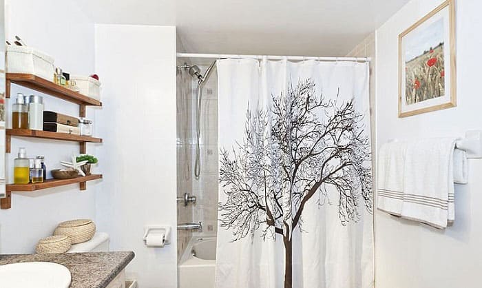 shower-curtain-and-liner