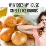 why does my house smell like onions