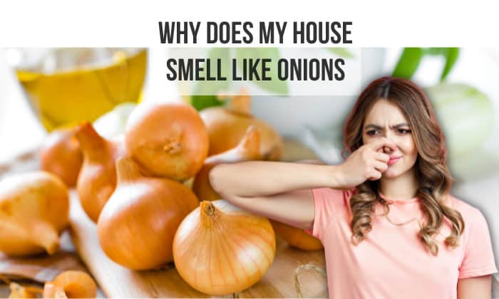 why does my house smell like onions