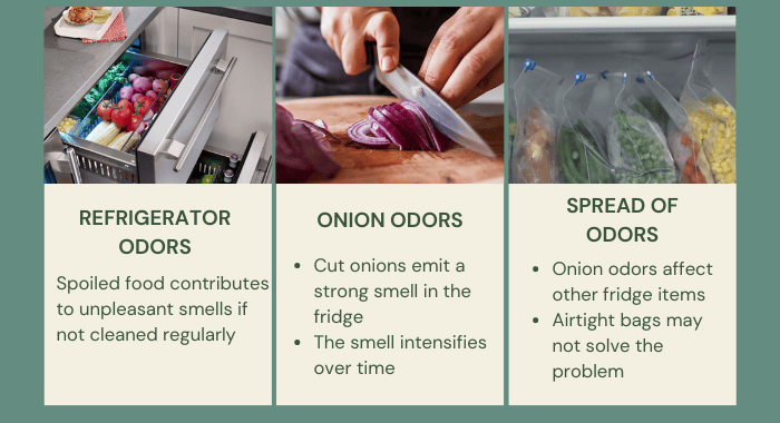onion-stench-causes-from-refrigerators