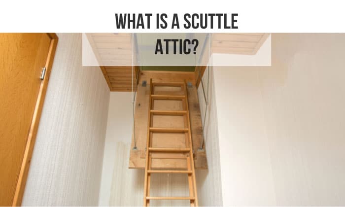 what is a scuttle attic