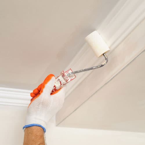 Blend-White-Ceiling-Paint-using-touch-Up-Painting