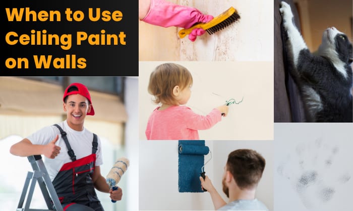 When-to-Use-Ceiling-Paint-on-Walls