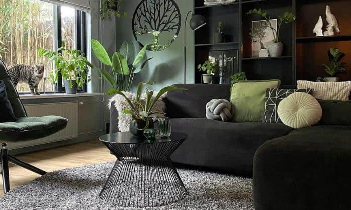 green-color-with-charcoal-grey-couch