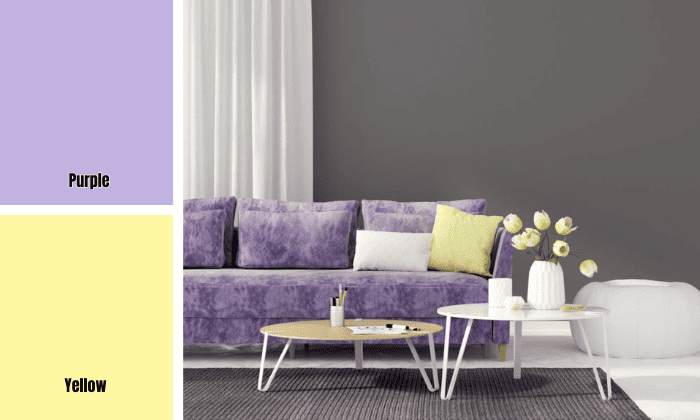 purple-and-yellow-color-combination