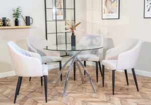 shiny-scoop-chair-for-glass-dinning-table