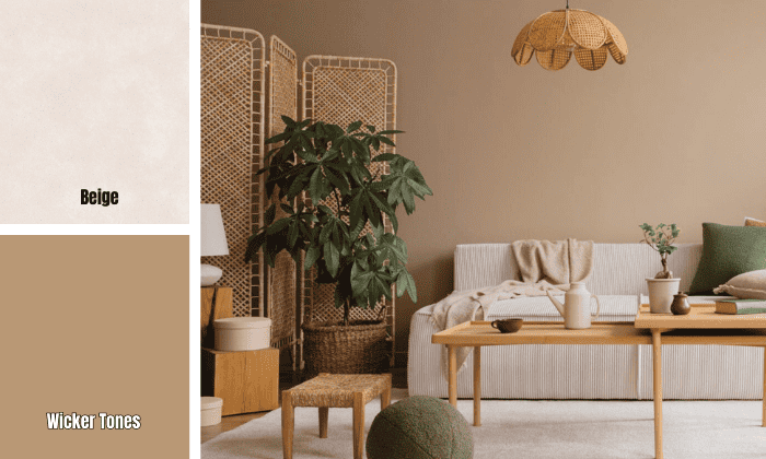 wicker-tones-furniture-with-beige-carpet