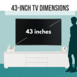 43 inch tv dimensions