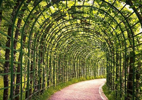 foliage-archway-driveway-idea