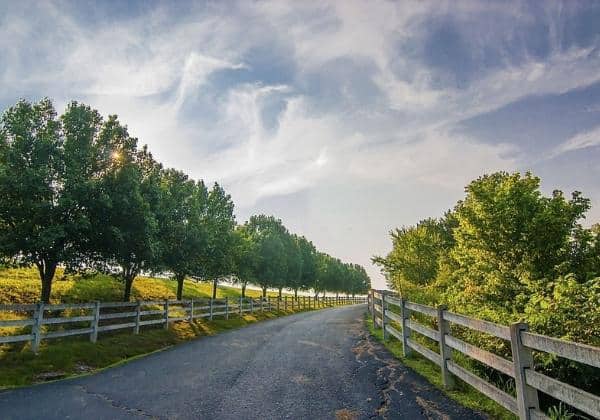 pick-split-rail-fence-for-long-driveway