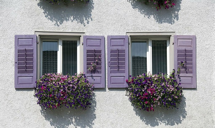 purple-shutters-for-cream-house
